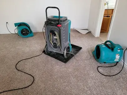 Dehumidifier and air movers drying carpet in an Everett bedroom