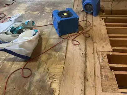 Subfloor opened and dried with air movers after an Everett water loss