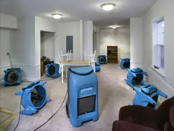LGR dehumidifier and air movers drying an Everett home to the IICRC S500 standard