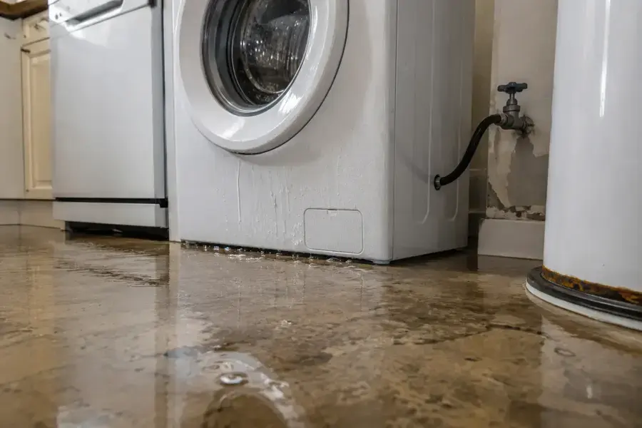 Water spread across a laundry floor from a washing machine leak in Everett