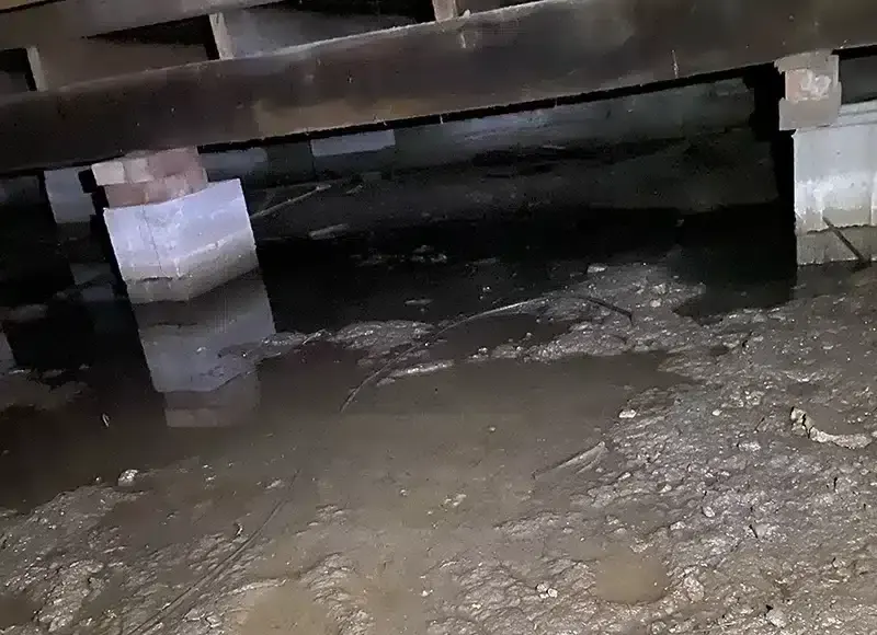 Standing water pooled under the floor joists in an Everett crawl space